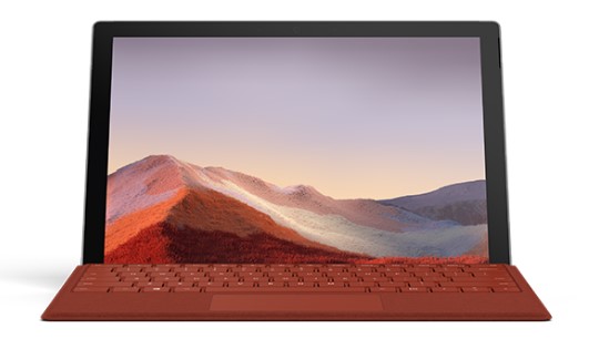 锡山清洁和维护 Surface